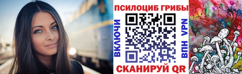 Галлюциногенные грибы Psilocybe  МЕГА tor  Островной 